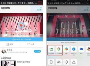 视频发布网站,内容盛宴与互动新体验