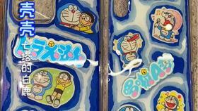 比熊生产过程视频,从孕育到成犬的成长历程