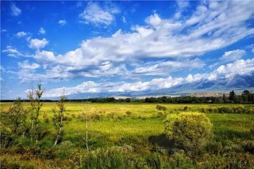 大自然的视频,捕捉大自然的壮丽瞬间