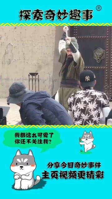 耍大刀视频,耍大刀视频中的传统武术魅力