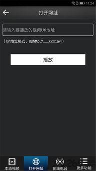 视频播放器破解版,功能解析与使用指南