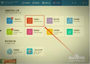 在线视频 中出,从新手到专家的蜕变之路