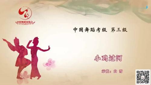 七级舞蹈考级视频,七级舞蹈考级视频亮点解析与技巧提炼