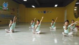 七级舞蹈考级视频,七级舞蹈考级视频亮点解析与技巧提炼