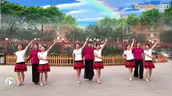 广场舞视频制作,广场舞视频中的欢乐时光与活力风采