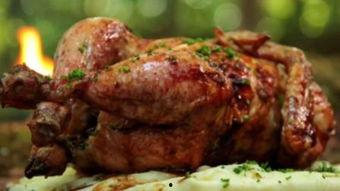 野外烤鸡视频,户外美食之旅的完美演绎