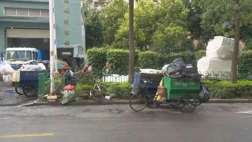垃圾处理视频,从视频看环保行动背后的故事
