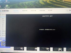 视频播放不了怎么办,视频播放故障排查与解决指南