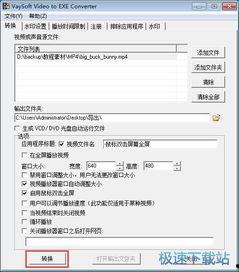 exe格式视频,深度解析与精彩概述