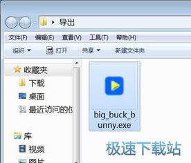 exe格式视频,深度解析与精彩概述