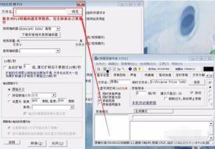 exe格式视频,深度解析与精彩概述