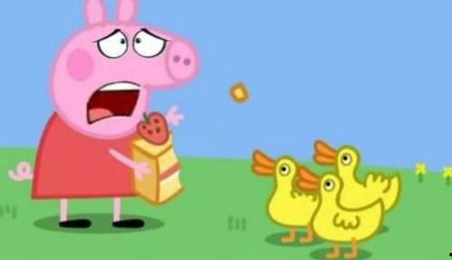 鸭子玩具视频,视频带你领略童真欢乐时光