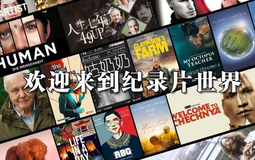 字母操视频,轻松掌握字母发音与书写技巧