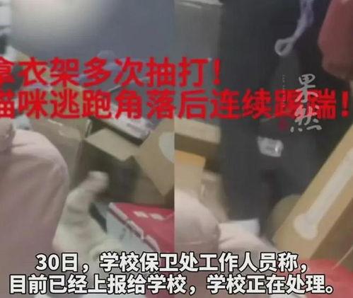 吃瓜最新事件爆料教师视频