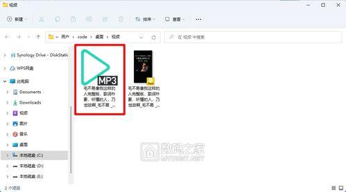 用什么软件下载视频,探索热门下载软件的奥秘