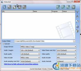 用什么软件下载视频,探索热门下载软件的奥秘