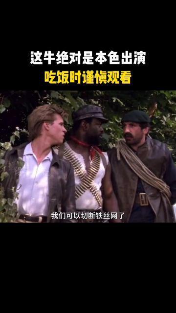 本色视频在线观看