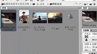 photoshop教程视频全集,从入门到精通的视觉艺术之旅