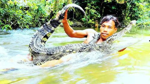 鳄鱼吃东西视频,大自然生存法则尽显