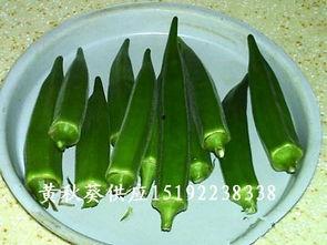 黄秋葵视频,揭秘营养丰富的绿色美食