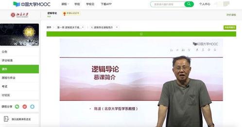慕课视频,慕课视频内容精要概述